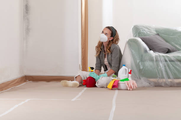Reliable Mold Removal contractor in Fanwood, NJ by WQB Mold Removal
